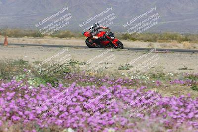 media/Feb-04-2023-SoCal Trackdays (Sat) [[8a776bf2c3]]/Turn 15 Inside Blooming (1050am)/